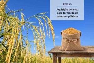 Conab fará leilão para comprar mais de 127 mil toneladas de arroz