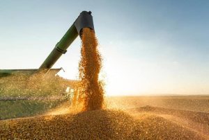 Exportações piauienses crescem e chegam a US$ 199 milhões em agosto