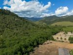 Agricultura avança 11 milhões de hectares em 41 anos na Mata Atlântica