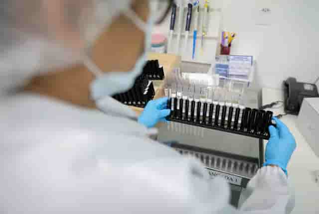 Malária: Anvisa autoriza teste em humanos de vacina 100% brasileira