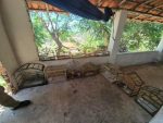 PM e Ibama apreendem aves silvestres mantidas ilegalmente em cativeiro no interior do Piauí