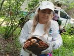 Polícia Ambiental registra 496 ocorrências envolvendo animais silvestres em três meses e reforça orientações à população