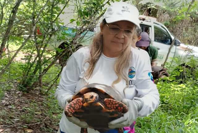 Polícia Ambiental registra 496 ocorrências envolvendo animais silvestres em três meses e reforça orientações à população