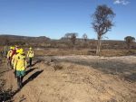 Piauí registra menor número de queimadas para setembro em uma década