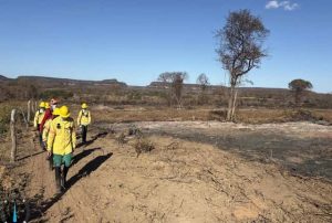 Piauí registra menor número de queimadas para setembro em uma década