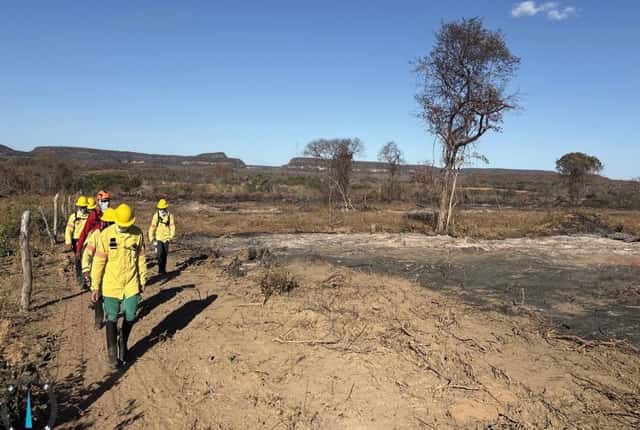 Piauí registra menor número de queimadas para setembro em uma década