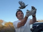 No Piauí: 154 animais silvestres são devolvidos à natureza