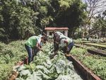 Governo aprimora compra de alimentos da agricultura familiar para a merenda escolar