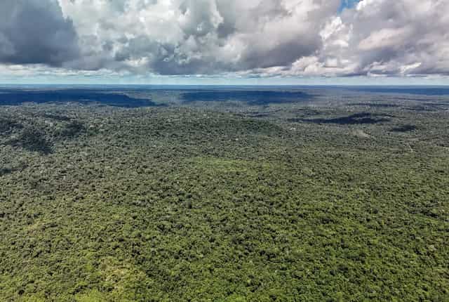 MapBiomas: Amazônia registra menor nível de desmatamento em 41 anos