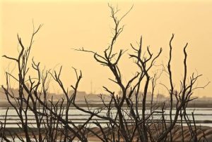 BNB negocia dívidas de produtores rurais prejudicados por eventos climáticos até dia 12
